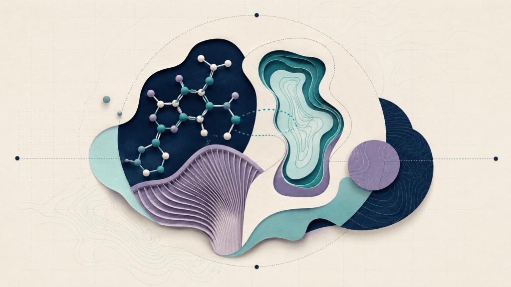 Psilocybin Explained: What Research Can—and Cannot—Tell&nbsp;Us